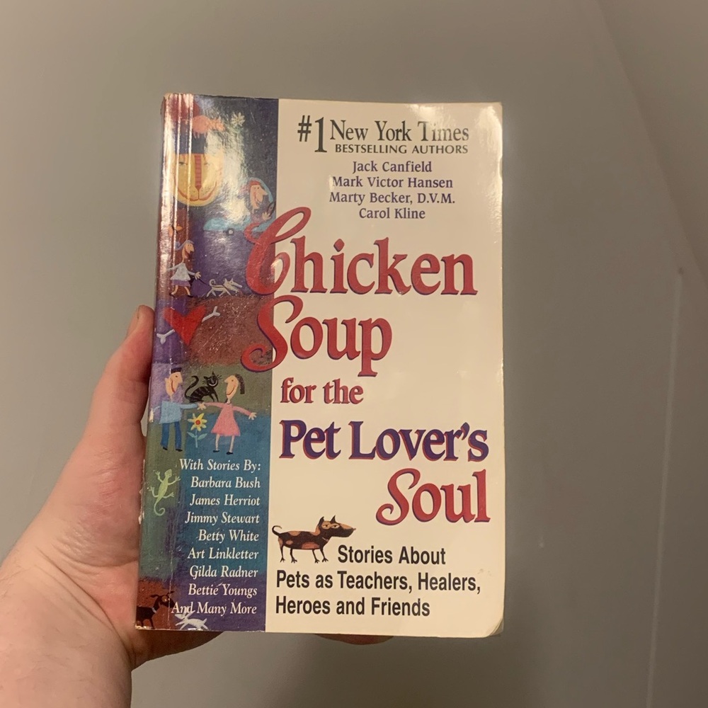 Chicken Soup Book